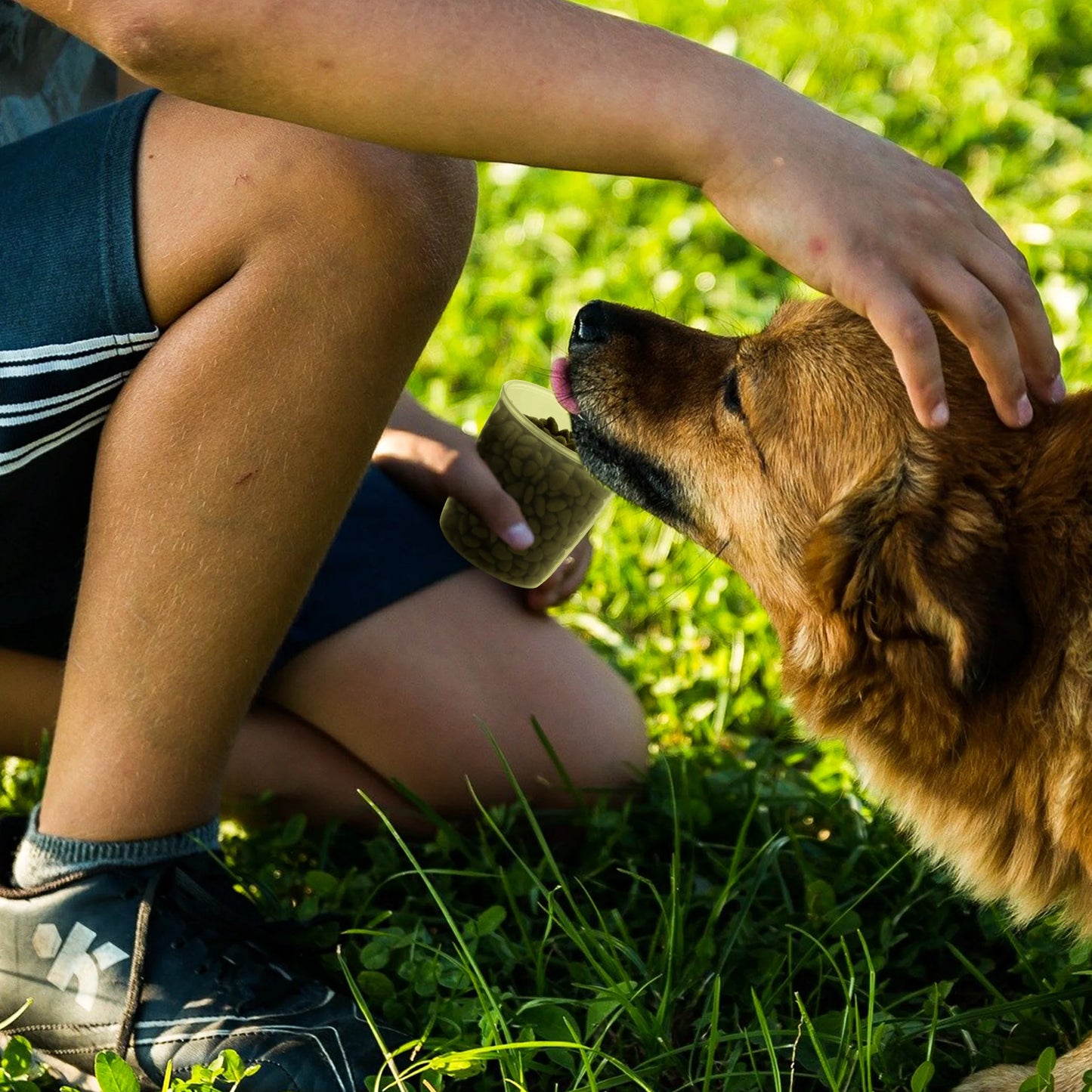 Pet Food Storage Container with Measuring Cup 2.5 LB 2 PCS Clear Green
