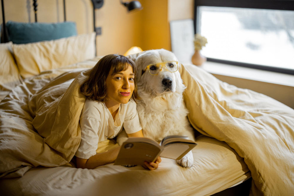 How to Build the Perfect Routine for Your Dog in 2025