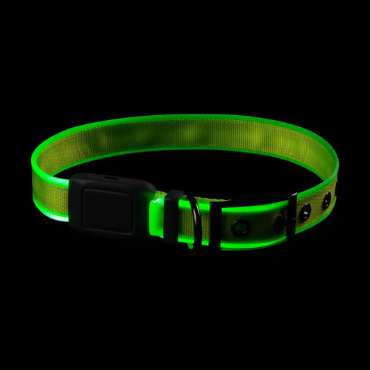 Nitedog - L - Lime/Green Rechargeable LED Collar