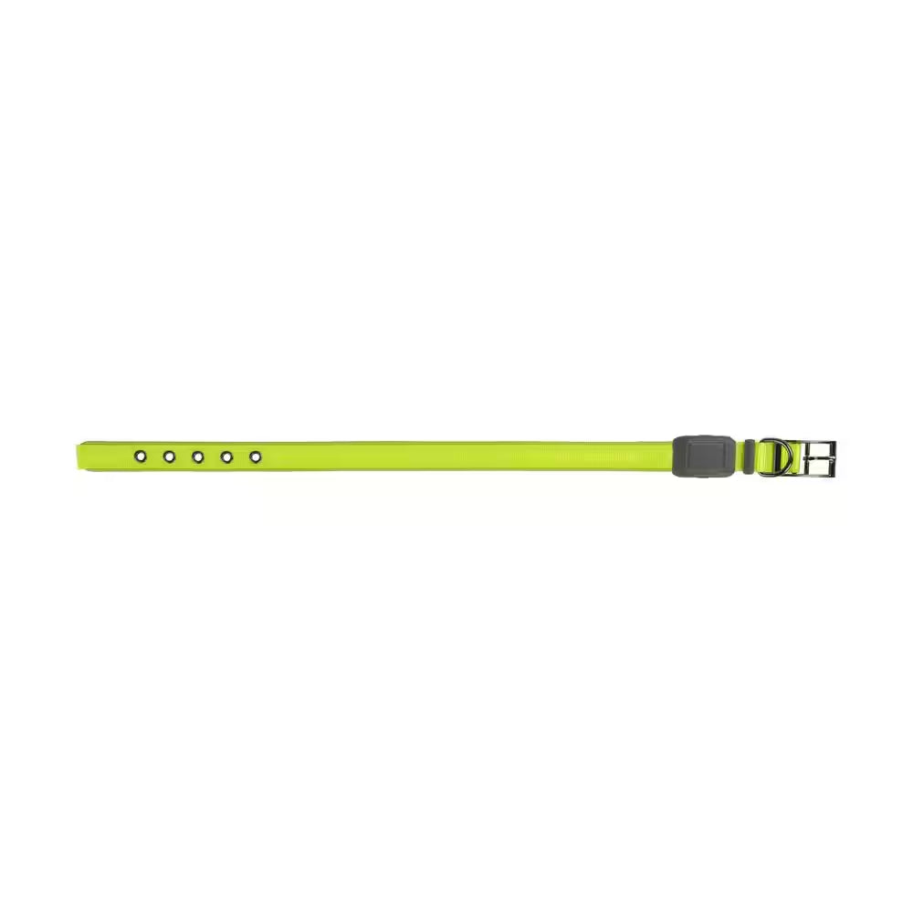 Nitedog - L - Lime/Green Rechargeable LED Collar