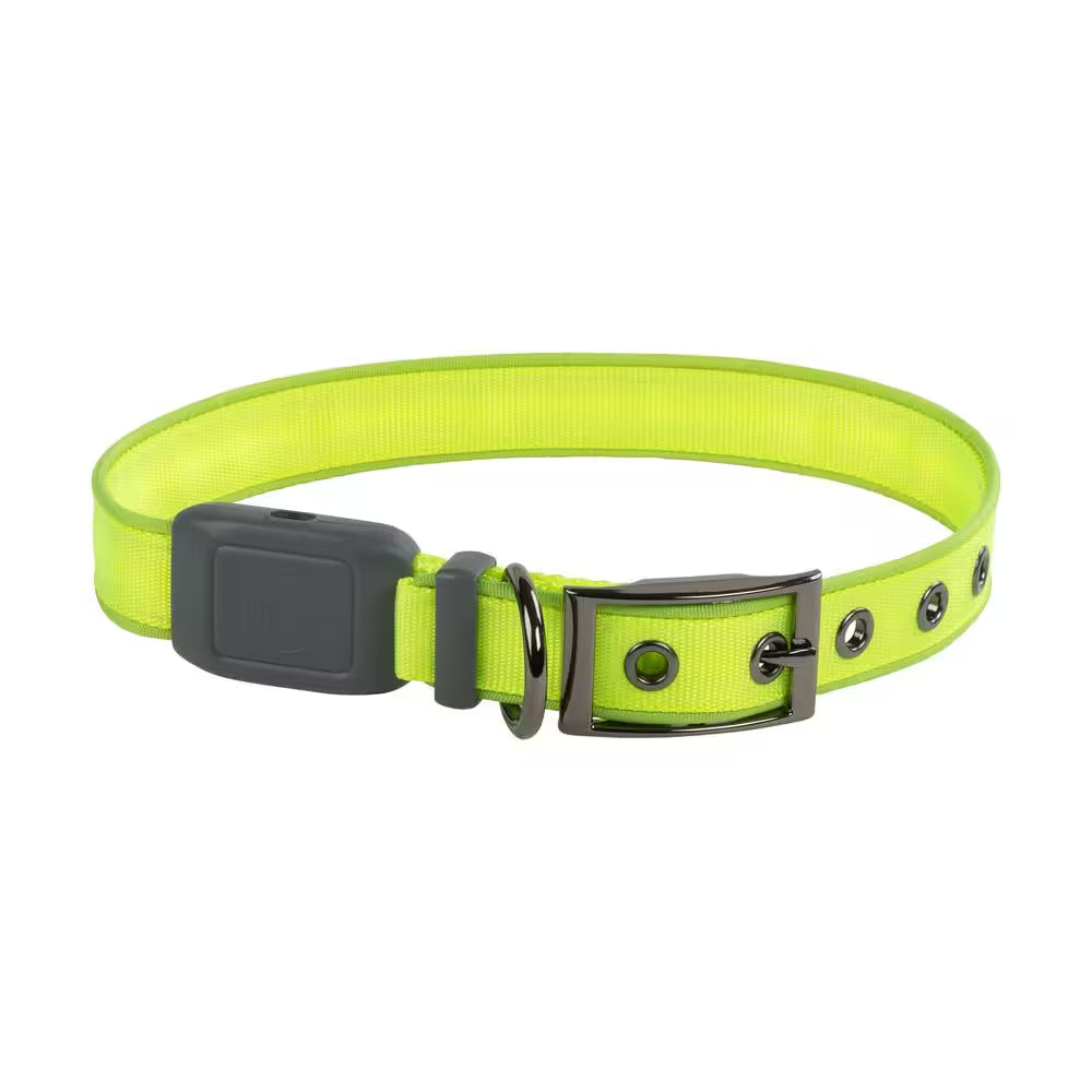 Nitedog - L - Lime/Green Rechargeable LED Collar