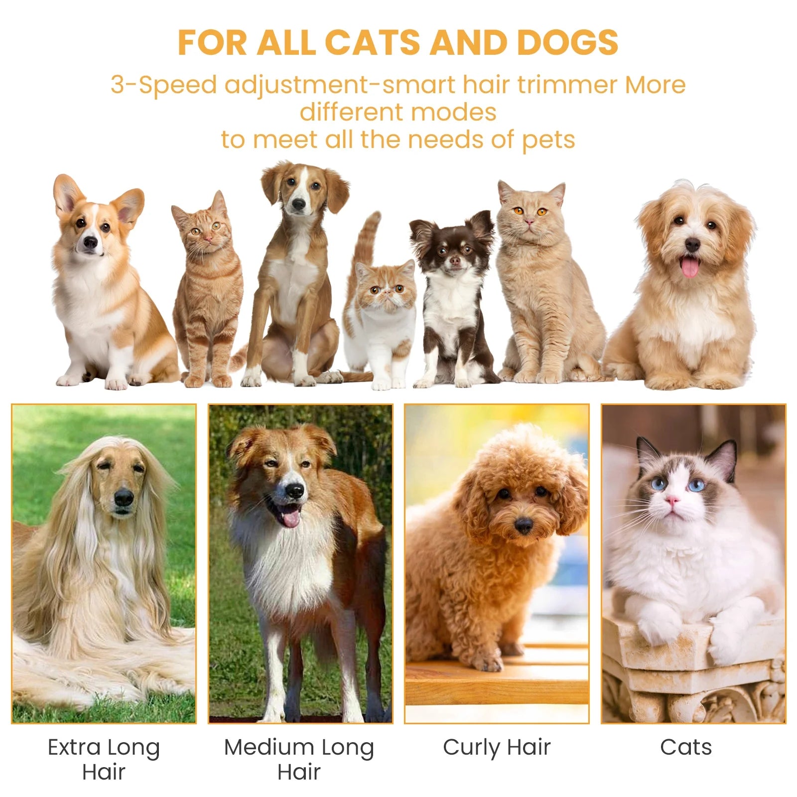 Pet Grooming Vacuum for Dogs & Cats, 13Kpa Suction, 5-In-1 Grooming Kit with Low Noise, 2.5L Dust Cup, Wireless Clippers, Deshedding Brush – Professional At-Home Pet Hair Cleaner